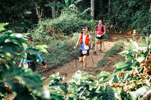 BIB: 
                            <button type="button" onclick="openModal(25852482)" class="btn btn-primary btn-sm float-right btn-popup" data-toggle="modal" data-target=".modal-high-quality">
                        <i class="fas fa-shopping-cart"></i> Add to Cart
                    </button>
                                            <button type="button" onclick="isThisMe(25852482, true)" class="btn btn-success btn-sm float-right btn-popup btn-isme hidden" data-toggle="tooltip" data-placement="bottom" title="นี่คือรูปของคุณใช่ไหม คลิกที่นี่เพื่อเอาเข้าอัลบั้ม">
                        <i class="fas fa-plus"></i> Add to album
                    </button>
                    <button type="button" onclick="isThisMe(25852482, false)" class="btn btn-warning btn-sm float-right btn-popup btn-isnotme hidden">
                        <i class="fas fa-ban"></i> Remove from album
                    </button>